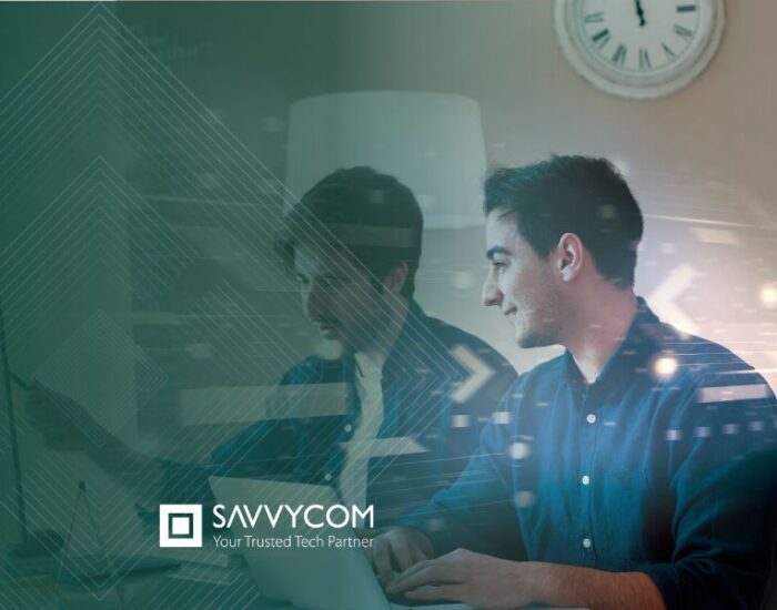 Software Development Providers 1 700x550