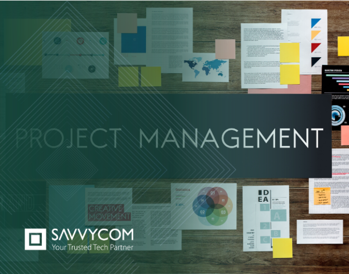how to manage software projects 1 700x531